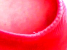 Tokyo Nights Secret Desires