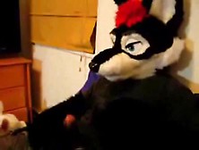 Fox Fursuits(Chubbs). Flv