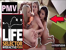 Pmv Lifeselector