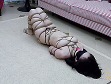 Sadi Tied,  Gagged & Blindfolded Topless