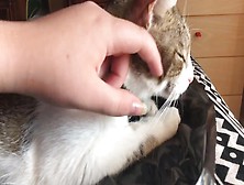 Caressing My Pussy On A Hot Summer Day