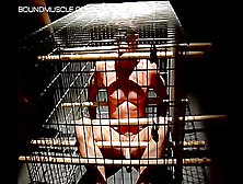 Fit Stud Is Thrown Into A Cage And Tormented By His Master