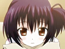 Shy anime girl is hammered with a big hard pecker