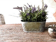 German natural Youngster get real POINT OF VIEW Amatuer Sex filmed with Iphone at First Date