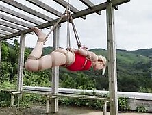 Chinese Girl Outdoor Exhibitionism Bdsm Training 42