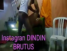 Dindin Brutus X Casado Puto