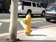 Surprisingly firm big ass gets stalked