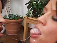 Your Perfect Lips #06