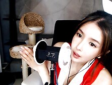 【ASMR】斗鱼TV 主播 网红 大艺术嘉 粉丝群福利 Cosplay王者荣耀 不知火舞 中文音声 啄木鸟