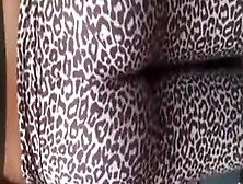 Jaguar tights make her look scary sexy