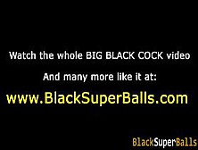 Tiny Ho Fucks Black Dick