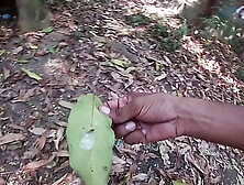 I quickly ate Novinha no Mato until I enjoyed it