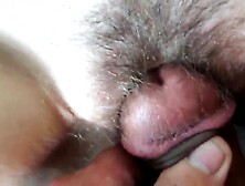 Close-up Pov Of Tight Hairy Pussy Teasing For Amateur Milf
