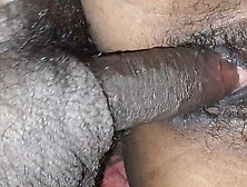 Desi Village Bhabhi Has Sex - Hindi Audio