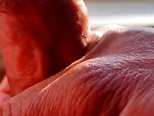 Good Morning Sunshine