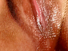 Dripping Pussy Wet My Pantyhouse