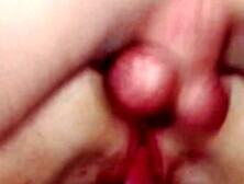 Russian escort women getting titty banged after having her bald twat licked