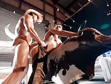 Nice Butt Bashing Cowboys Fuck Fun