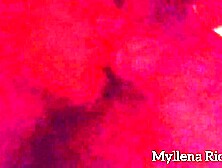 Amateur pair from Rio de Janeiro screwing sexy,  getting into and enjoying hawt on the cuckold's wife - leo ogre - Myllena Rios