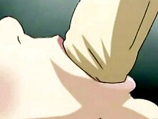 Flesh and Fury A Hentai Fantasy