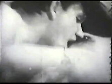 Vintage Stag 8mm 1960's