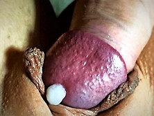 Pov Creampie Close Up