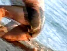 Guy stripped by friends