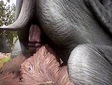 Rhino Nuts | Wild Life Furries