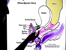 How To Squirt ?! Explained Fast !!! Mr Pussylicking