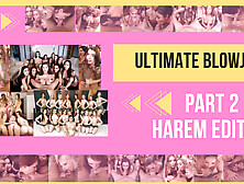 39 Hot Stars - Ultimate Blowjob Harem Edition Part 2 VR Porn Compilation by Privat Jet - PrivateJet