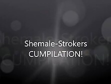 Shemale-Strokers Cumpilation