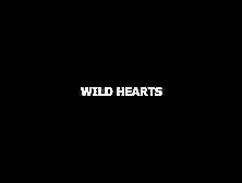 Wild Hearts 2 - Julia Morozzi