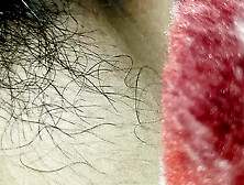 Desi village sex hot bhabhi