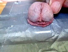 Hammering three nails into cock head for maggots