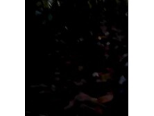 The Crypt's Halloween Particular - The Porn Witch Project