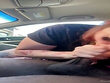 Phatt ​katt ​Discover ​More ​At ​