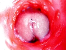 ONLINE CAM INSIDE CUNT: ALMOST SPERM IN CUNT! BEST Internal ASMR in 4K