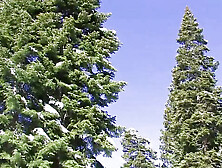 Tahoe: Exiled From Dick Mountain Pt 1