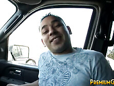 Trina Michaels in hard-core doggystyle fuck