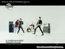 Stance punks no boy no cry