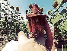 Pov Outdoor.  Cowgirl Riding In A Field Of Sunflowers