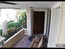 Brunette GF Babe just wants some Cock