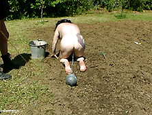 Outdoor Work & Punishment Pt1 - Tacamateurs