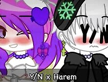 Y/N x Harem (Part 1)