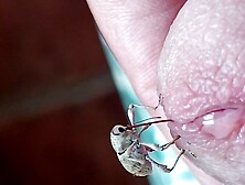 Gorgojo 2,  aprendiendo a picarme la polla