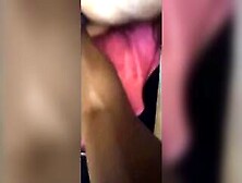 Pawgs 1St Anal Fisting