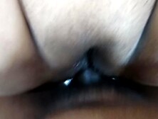 Catchy Busty Wanna Chiggy Wiggy