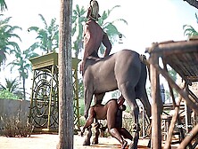 Man With Equine Dong Gets Centaur