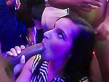 Party Hardcore Gone Crazy 29 Video