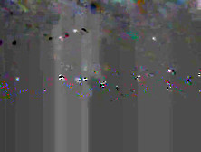 Wank den Schwanz.....